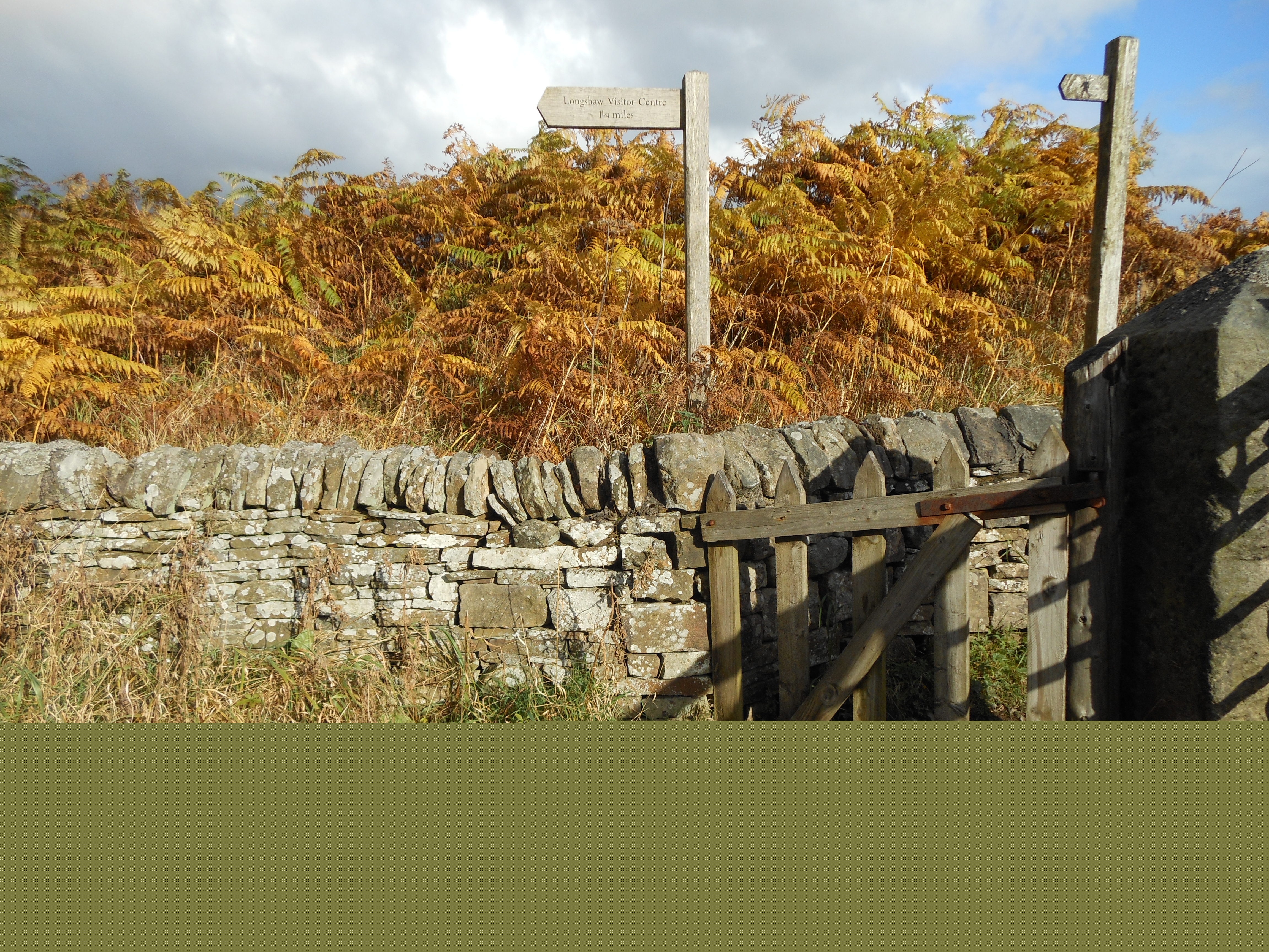 August Craft Sunflower